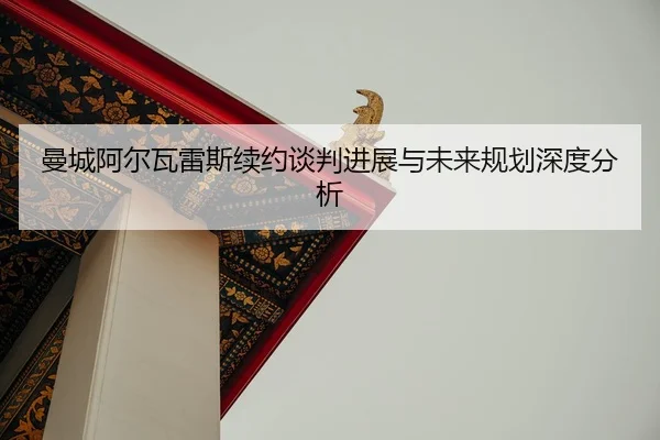 man-cheng-a-er-wa-lei-si-xu-yue-tan-pan-jin-zhan-yu-wei-lai-gui-hua-shen-du-fen-xi-2-848.jpg