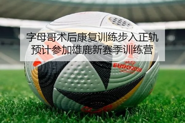 字母哥术后康复训练步入正轨 预计参加雄鹿新赛季训练营